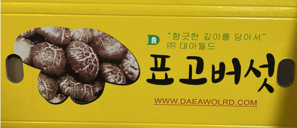 全自动印刷机14